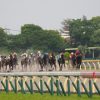 競馬で稼ぐのはハッキリ言って難しい！お金のかからない楽しみ方